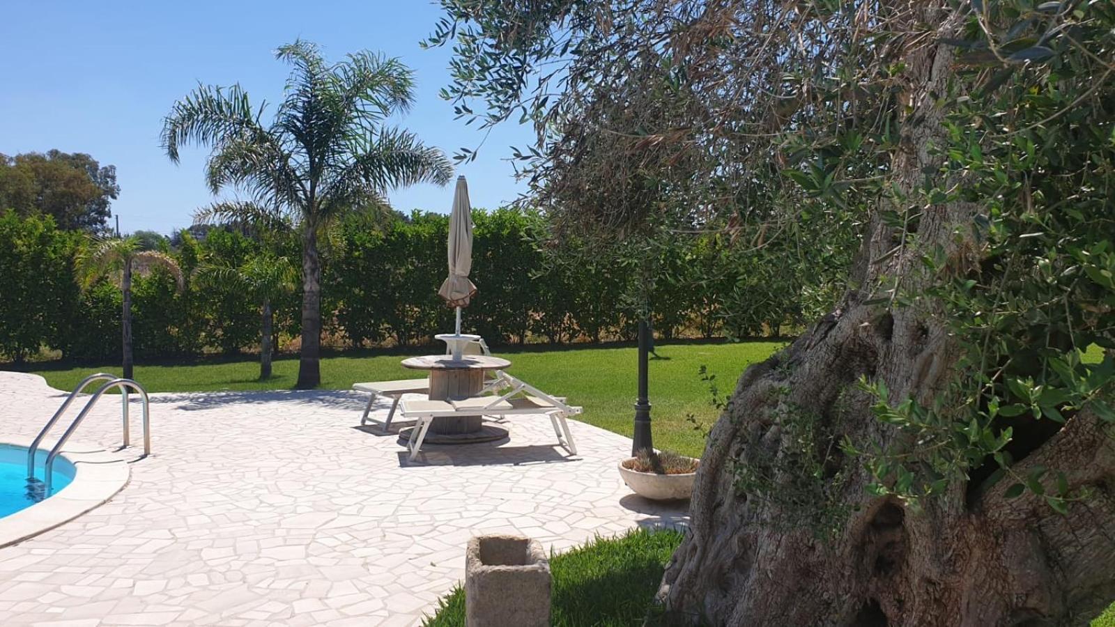 Masseria Giamarra 卡尔皮尼亚诺萨伦蒂诺 外观 照片
