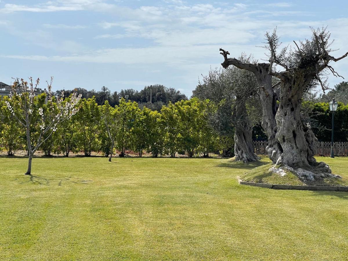 Masseria Giamarra 卡尔皮尼亚诺萨伦蒂诺 外观 照片