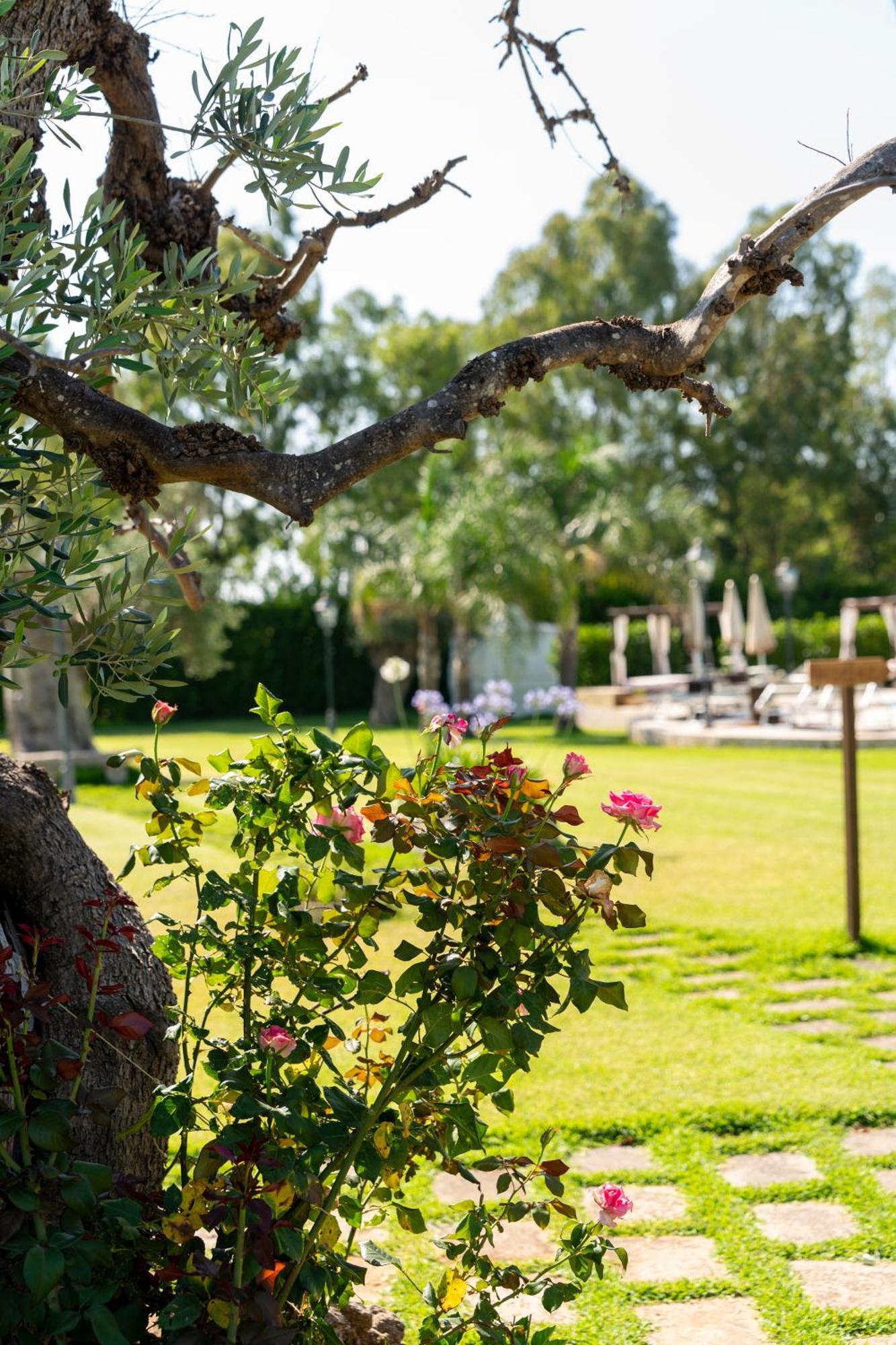 Masseria Giamarra 卡尔皮尼亚诺萨伦蒂诺 外观 照片