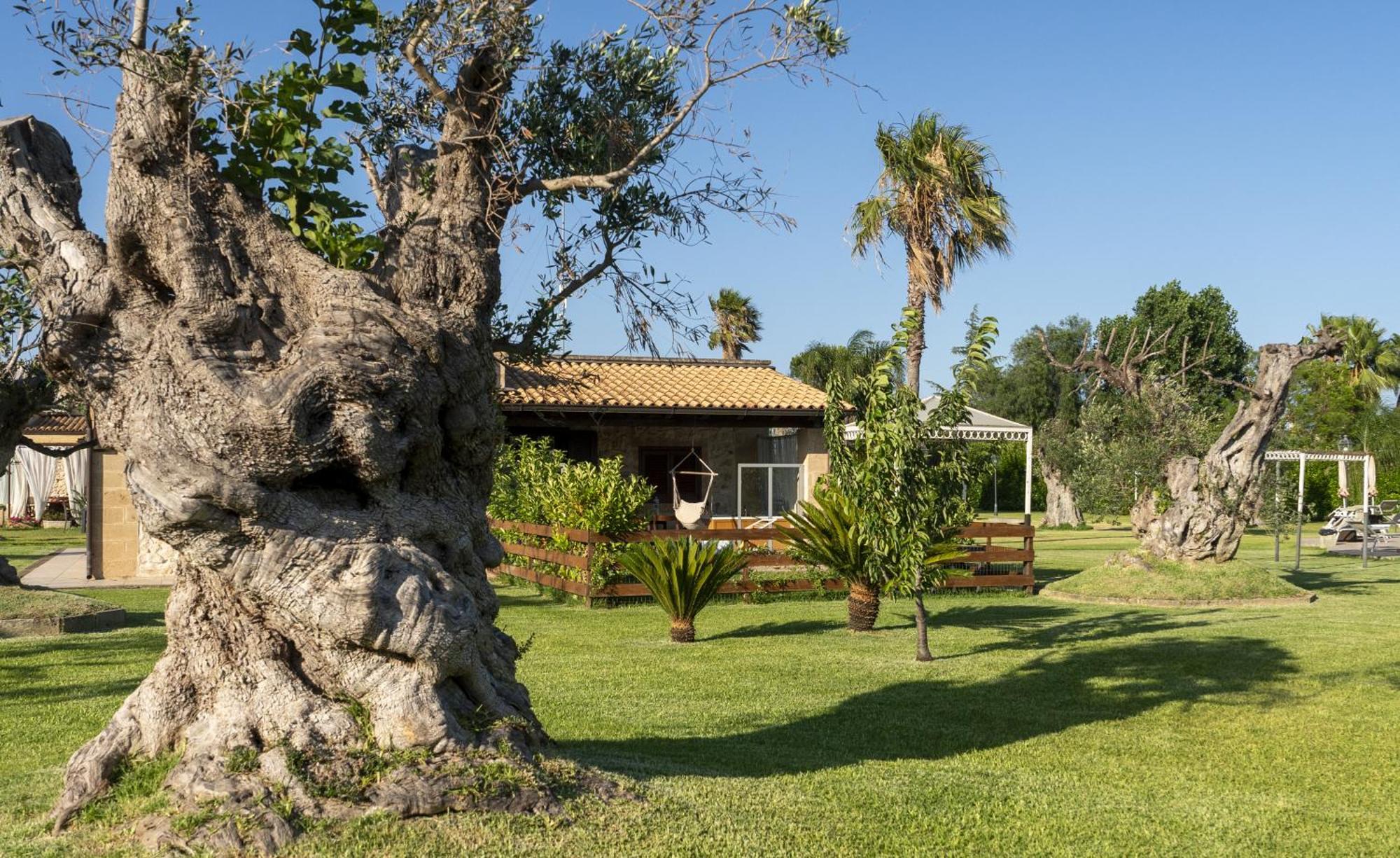 Masseria Giamarra 卡尔皮尼亚诺萨伦蒂诺 外观 照片